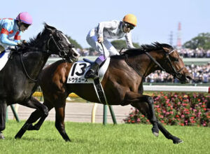 シャフリヤール敗退でドウデュース凱旋門賞は大丈夫！？