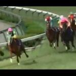 最近の逃げ馬ブーム作ろうとする動き