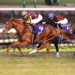 オルフェーヴルが馬鹿にされすぎて辛い