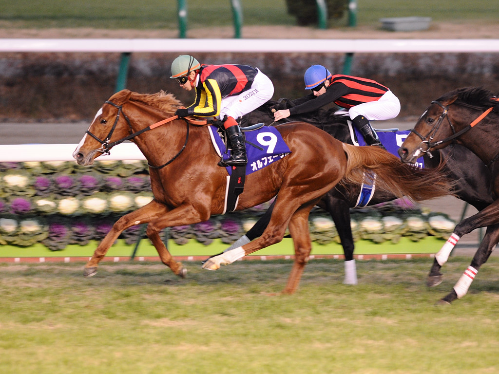 オルフェーヴルが馬鹿にされすぎて辛い