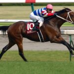 歴代最強の逃げ馬は?