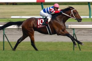 歴代最強の逃げ馬は？