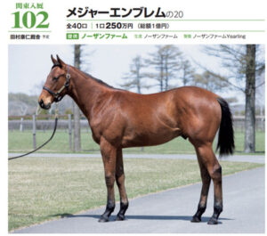 ノーザンファームのエース、スワッグチェーンが今週デビューする件