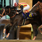 大井が羽田盃東京ダービー交流重賞化や帝王賞GI昇格、地方競馬の雄である岩手競馬はどう対抗する?