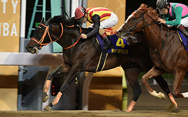 大井が羽田盃東京ダービー交流重賞化や帝王賞GI昇格、地方競馬の雄である岩手競馬はどう対抗する？