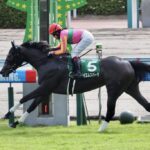 テイエムスパーダの鞍上が次走で国分に戻るらしいけど今村聖奈ちゃんにするべき