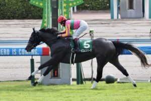 テイエムスパーダの鞍上が次走で国分に戻るらしいけど今村聖奈ちゃんにするべき