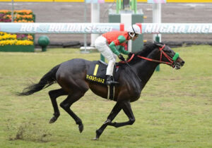 【競馬予想】第58回函館記念(GIII) /2022