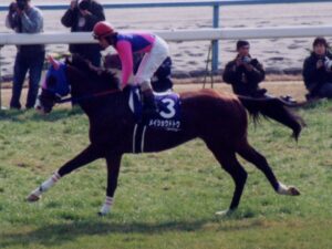 ドトウってトプロより強いよね