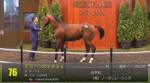 【セレクトセール2022】モシーンの2021(父モーリス)4億5千万円で落札