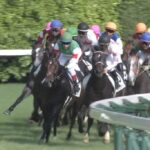 【競馬】函館競馬場で暴行事件、46歳無職の男を逮捕