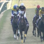 【競馬板】まじでこないだ有馬記念だった気がする