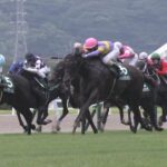 【競馬/セレクトセール2019】ケースバイケース主取、ダイワミランダは…