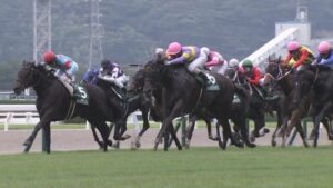 【競馬/セレクトセール2019】ケースバイケース主取、ダイワミランダは…