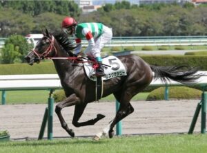 騎手変えたら驚くほど勝ち出したお馬さんといえばwww