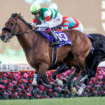 なんかエフフォーリアが可哀想になってきた