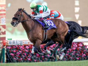 【復活なるか?】エフフォーリアさん秋3戦走る予定
