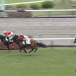 ダノンバラード種牡馬大成功!!!