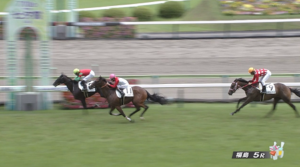 ダノンバラード種牡馬大成功！！！