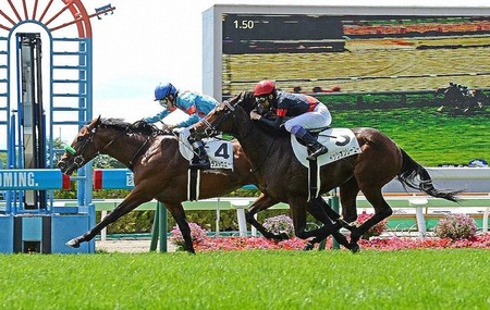 【2歳新馬】ブラストウェーブ強すぎワロタ