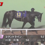 【JDD】ノットゥルノ&武豊騎手がキタ━━━━(゚∀゚)━━━━!!