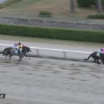 【レパードステークス2022】出走予定馬・騎手/飛躍を期す