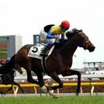 日本を代表する競走馬ビッグ3