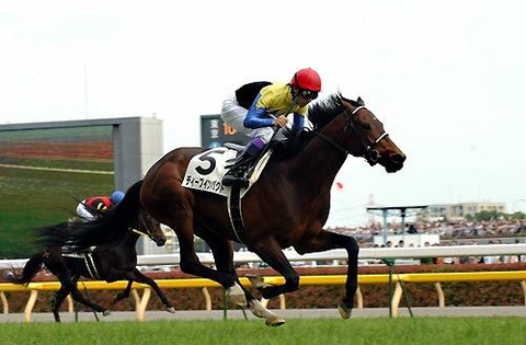 日本を代表する競走馬ビッグ３