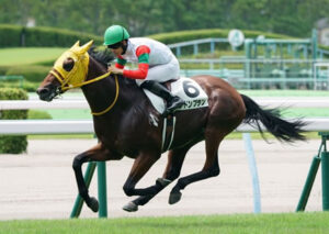 【2歳新馬】グレーターロンドン産駒がJRA初出走初勝利