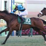 京都競馬場主催「アイドルホースオーディション」STEP1を勝ち残った10頭が決定