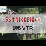 【調教動画】2022年 ラジオNIKKEI賞|JRA公式