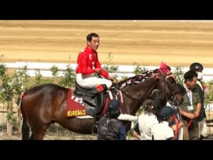 アタック！地方競馬｜第170回｜ダービーシリーズ 大反省会｜NAR公式