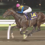 武豊騎手 芝ダートダービー制覇
