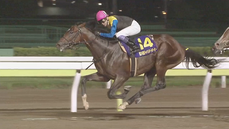 武豊騎手　芝ダートダービー制覇