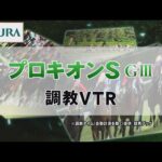 【調教動画】2022年 プロキオンステークス|JRA公式
