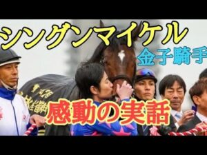 【ハンカチをご用意ください】シングンマイケル感動の実話