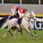 【競馬・CBC賞】今村聖奈騎手 重賞初騎乗初制覇!!!!!!!!