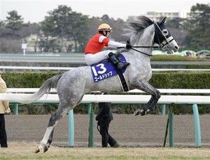 【競馬】レッドアルヴィス死す　放牧中に蹄葉炎