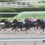 【プロキオンステークス2022】結果・動画/ゲンパチルシファーが抜け出し快勝