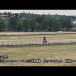 【2022サセックスS】バスラットレオン最終追い切り(7月23日(土曜)) | JRA公式
