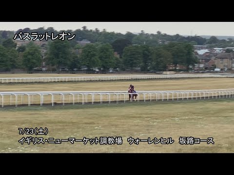 【2022サセックスS】バスラットレオン最終追い切り（7月23日（土曜）） | JRA公式