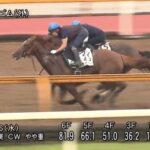 【プロキオンステークス2022】追い切り/動きを見極め勝利に近づけ