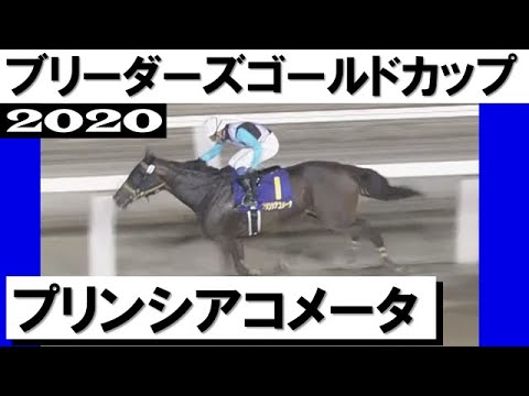 三度目の正直！岩田康誠騎手に導かれ2年連続２着の悔しさ晴らす【ブリーダーズゴールドカップ2020】