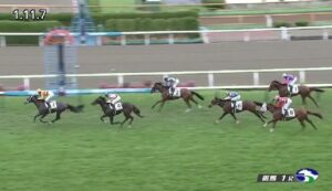 【競馬】函館1R2歳未勝利戦 武豊騎乗のマルモリディライトがV