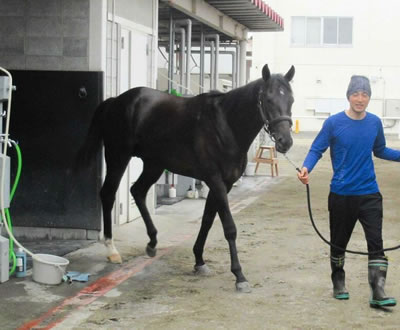 【2歳新馬】シュバルツガイスト国枝厩舎から素質馬がデビュー