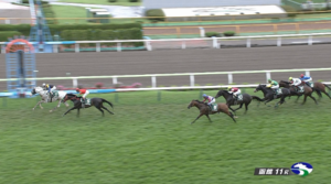 マイネルウィルトス強すぎワロタ