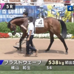 【函館5R新馬戦】ブラストウェーブ&横山和生騎手がキタ━━━━(゚∀゚)━━━━!!
