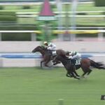 【競馬】中京記念は西村騎乗のベレヌスが逃げ切りV