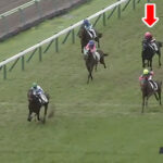 【2歳新馬】ヤングローゼスとは何だったのか…