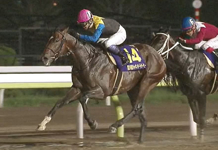 武豊さん、3回目の芝とダートのダービー制覇